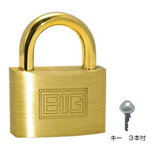 BIGV_[싞yꌮz60mm(1i) SOL HARD NO.1200