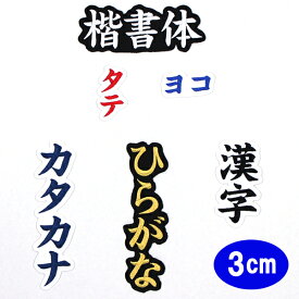 楽天市場 漢字 ワッペンの通販