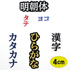 楽天市場 バスケットボール ワッペンの通販