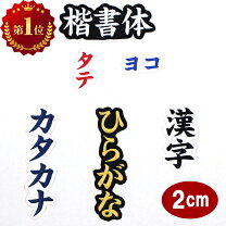 楽天市場】ワッペン アイロン オーダーの通販