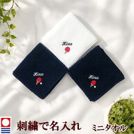 卒団記念品 卓球 ラケット ピンポン ピンポン玉 ピン球 ミニタオル 刺繍名入れ 部活 卒業 今治タオル ハ…