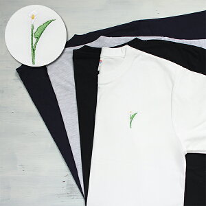 ꖳ OTVc tVc J[ ԕ  Y fB[X  N[lbN |CghJ jp jZbNX S M L XL 6.2IX Rbg  zCg  ubN  