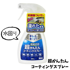 aCY ܂̒񂽂R[eBOXv[ 300ml CSP001 R[eBO vdl h~ c  XeXVN ʑ  gC V z | | AJ DIY 