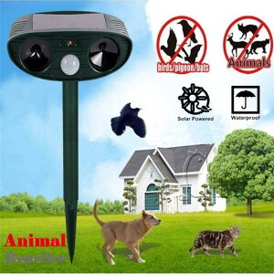 \[[ Aj}  oA fȓ g  Aj} ؃A L  lY~  ACO} nNrV ނȂ