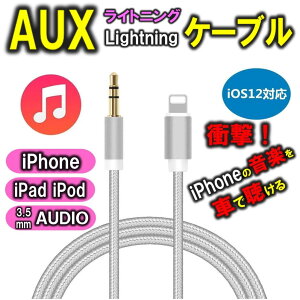 iPhone AUX P[u I[fBI CgjO ϊ P[u Aux[qڑ ԍڗp 3.5mm Lightning ϊ A_v^[ yĐ  Xs[J wbhz 1m