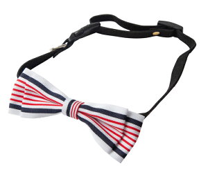 lN^C { p Lp  킢  L ETM CX^f `[J[ p[eB[   t tp a Mtg v[g j̎q ̎q   ֗ ybgp 