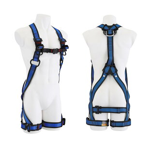 TAJIMA ^W} n[lXZA VKiS tn[lXZA{̂̂ yʃA~ ^b`ڃobNf MTCY F F Cu[ F Thx[W AZAM-RBCP