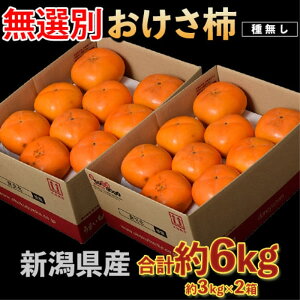 y10/20oׁzN01-039230 w`xv6kg/3kg×2퉷@H~̏H ʕ ʎ  y[J[z