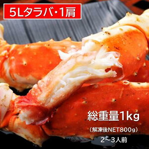 y{iP10{ő2000~OFFN[|z201z21520 5LE1 ^oKj1kg (2-3l) Jj I NNn ~ Ⓚ  Diy[J[zy󒍊ԁ@12/11@11F59܂Łzy}\