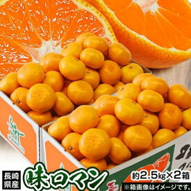 【本品p10倍＆最大2000円引きクーポン】【期間限定販売】 203a01997 極甘みかん 『味ロマン』2.5kg×2 簡易包装 常温 　外皮に傷あり (2SMサイズ)　くだもの 長崎産　おやつ　贈り物 [注文期間　2024年12月18日12：00]【メーカー直送】【超ポイントアップ祭り】