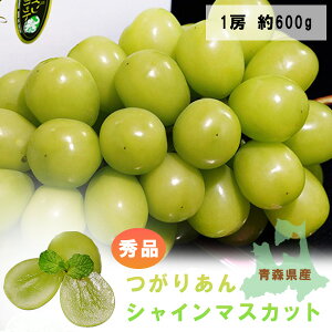 yԌ̔zw肠 VC}XJbgx XY Gi 1[ 600g ϔ ①y2025N1215ij10:00ϊŏIzy[J[z