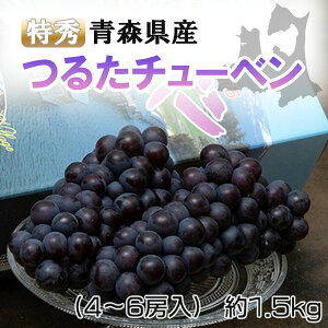 yԌ̔z w邽X`[xx XY G Ԃǂi4`6[j 1.5kg 퉷y2025N1222ij10܂Ōρzy[J[z