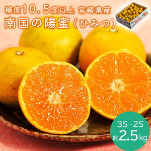 yԌ̔zx10.5xȏw썑̗ziЂ݂jx{茧Y݂  3S`2S 2.5kg Yn 퉷@@蕨y2025N1113i؁j10F00܂Łzy[J[z