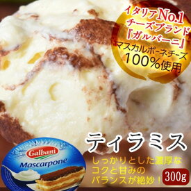 【本品P10倍＆最大2000円引きクーポン】本場イタリアの味を再現　 もう一度食べたくなるティラミス 約300g　※冷凍　ギフト ご褒美【メーカ直送品】【お買い物マラソン★買い回り】