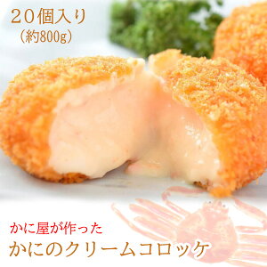 y{iP10{N[|ő2000~zɉwJj̃N[RbPx20 800g Ⓚ@  ܂ ٓ Iy[J[zy}\z