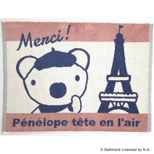 yXP2{ő2000~N[|zу^I(Hayashi) oX}bg yly 45×60cmt` MN600800 f 100 TCY 45×60cmdl 10 /2߃WK[h 4550239052777yyVX[p[Z[