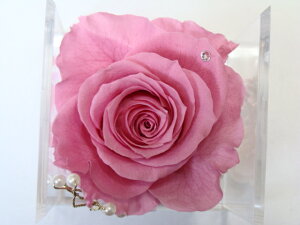 v[g ւ̃o yS8Fz͂Ȃ v[uht[ a j oYj uC_Mtg EFfBOMtg  av[g ސEj ʉ̉ v|[