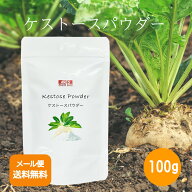 国産 ケストースパウダー100g 【メール便送料無料（代金引換・日時指定不可）】 オリゴ糖 粉末 酪酸菌 ケ…