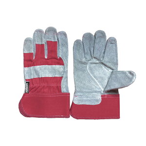 Cancamper LLp[ qp  v Lv a2401 b Α AEghA o[xL[