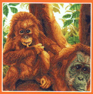 DMChイLbg@On Dad's ShoulderiIE[^j