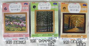 IpXhイLbg@ImGO~@؁X̍ʂ