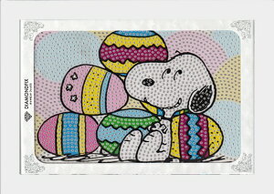 _ChtBbNXLbg uC[X^[@Xk[s[vr[YLpXA[g r[YLbg CeAt[