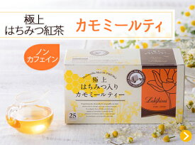送料無料 極上はちみつ入りカモミールティー 25袋 Lakshimi はちみつのまろやかな甘さとカモミールの優しい香りがふんわり広がるリラックス系ハーブティー 就寝前の温活や癒し時間におすすめ 個包装ティーバッグで使いやすいプレゼントにも便利な人気のはちみつカモミール