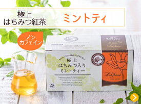 送料無料 極上はちみつ入りミントティー 25袋 単品 Lakshimi ミントの清涼感とはちみつのやさしい甘さが広がる人気フレーバーティー リフレッシュしたい時に最適 ホットでもアイスでも楽しめる個包装ティーバッグ 冬の温活やおうち時間のリラックスにおすすめ ギフトにも好評