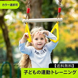 握力のみならず全身筋力・体幹トレーニングに最適！おうち用 吊り輪セット 子供 鉄棒取付 ぶら下がり体操 逆さぶら下がり ブランコ付き 室内 屋外 運動遊具【送料無料】【クーポン】