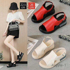 yzT_ fB[X T_ EFbW\[  Xbp 5.5cmq[ X|[cT_ X|T [V[Y