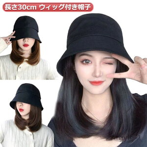 yzѕtXq ѕtXq XqtEBbO Xg[g EBbOtXq  EBbOt ×p oPbgnbg