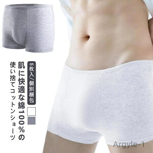 yzX|[c 100 ʕ pc 100 s 5 ĝăpc Rbg @ V[c jp  Y ĝ ֗