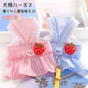 yz EFAn[lX XJ[g ėp t s[X DJt ^  ̎q bV {t C`S Ȃ Ȑ