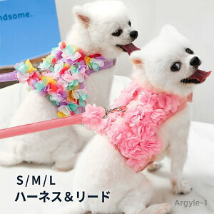 yz INS p n[lX [ht 2_Zbg ̃t[  킢 IV }WbNe[vdl ^ J