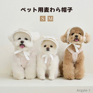 yz ANZT[ Xq Xq ^  t ėp O΍  Lbv ybg 悯 JCC ` a 