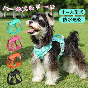 yz n[lX [h ^ ^ ^  Ȃ y ʋC    n[lX pn[lX