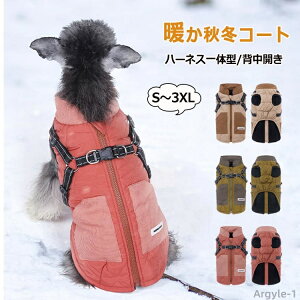 yz   WPbg n[lXt {A wt@Xi[ hbOEFA N ȓ wJ R[g Wp[