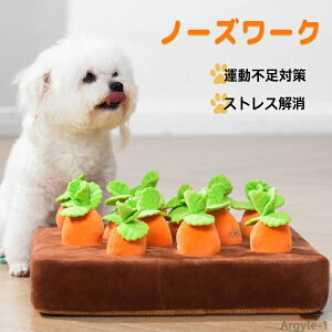 yzm[Y[N ɂ񂶂   ybg B mߋ pi  ̂ ybgpi v[g