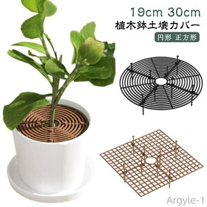 yzAؔObh 3TCY h~ h~ veN^[Lbg ABSvX`bN A ϗtA