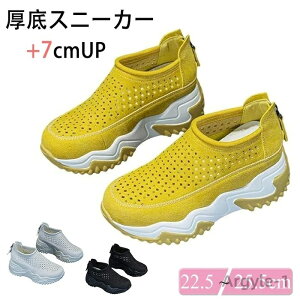 yzXb|fB[X fB[XXj[J[ 7cmgAbv ̃Xj[J[ fB[XV[Y KȌC V[Y