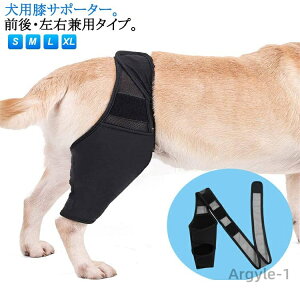 yzV ی p T|[^[ ֐ߕی  ybgpi  EP x veN^[  nr ֐߃veN^[ O s