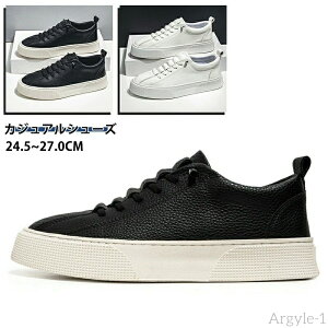 yzXj[J[ Y fB[X y zCgV[Y C Xj[J[ AEghA ʋ ʊw JWAV[Y Xj[J[