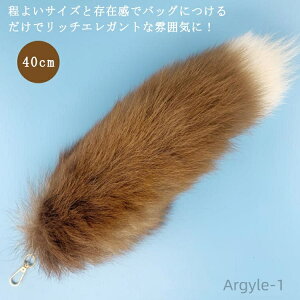 yzO t@[  K   `[ L[z_[ tHbNXe[ ӂ tFCNt@[ є Lcl