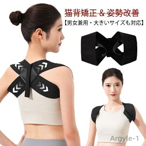 yzLwxg Y fB[X j  pT|[^[ w؋xg q Lw   xg pxg Lw xg Ci[