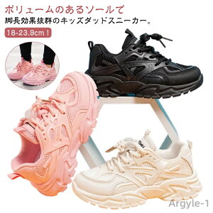 yzLbY Xj[J[ j̎q ̎q _bhXj[J[ Xj[J[   ^C w ʊwC bV jOV[Y  [Jbg r ΂Ȃ