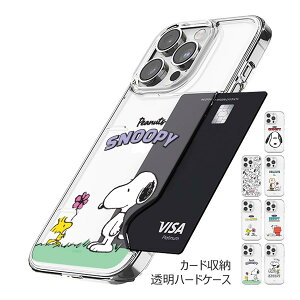 Snoopy Picnic Card Transparent Hard �P�[�X iPhone 16 Plus Pro Max 15 14