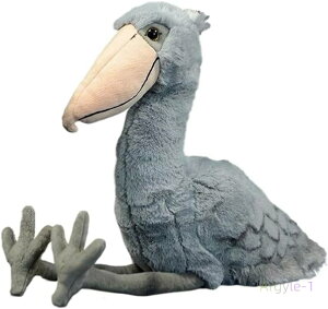 _ n Gǂ ˂ނ˂ NbV  A  킢 {L`   ʂ nVrRE