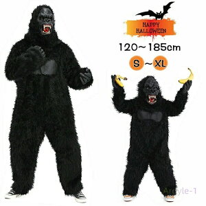 nEB RXv l q  LbY S   3_Zbg bXe[W eqyA gorilla nEBEFA LORO jp ϑ  w  Xe[W _