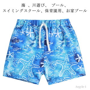 yzw Vv r[`pc  qp XC~O j̎q n[tpc p j  Cp T[tpc pc