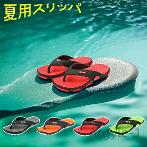 yz2023ĐV ₷  傫TCY JWAV[Y C ăT_ ɂȂ Y r[`T_ Y